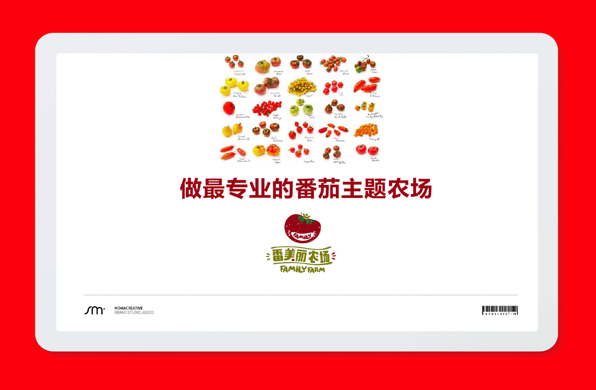 番美丽网页方案-02.gif